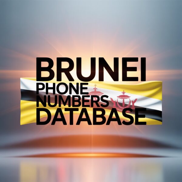 Brunei Phone Numbers Database